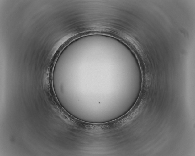 X0000113360875200909291028