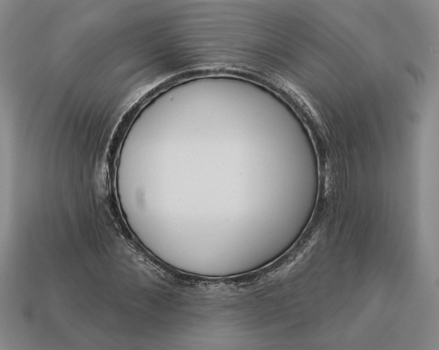 X0000113360876200909291028