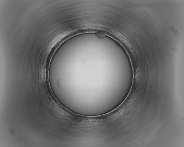 X0000113360877200909291028