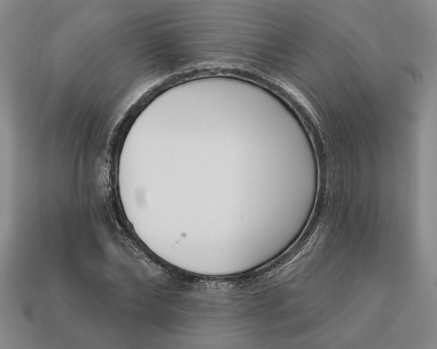 X0000113360878200909291028