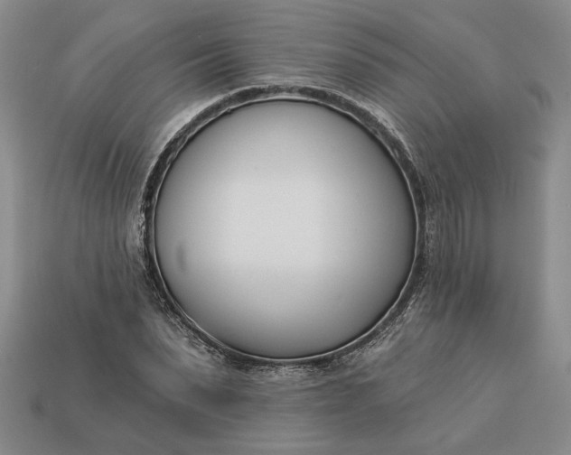 X0000113360879200909291028