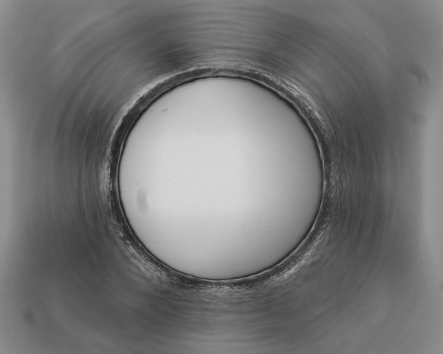 X0000113360880200909291028