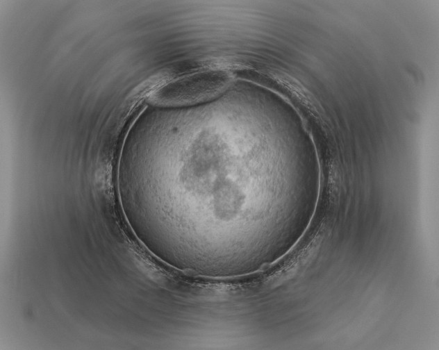 X0000113360881200909291028