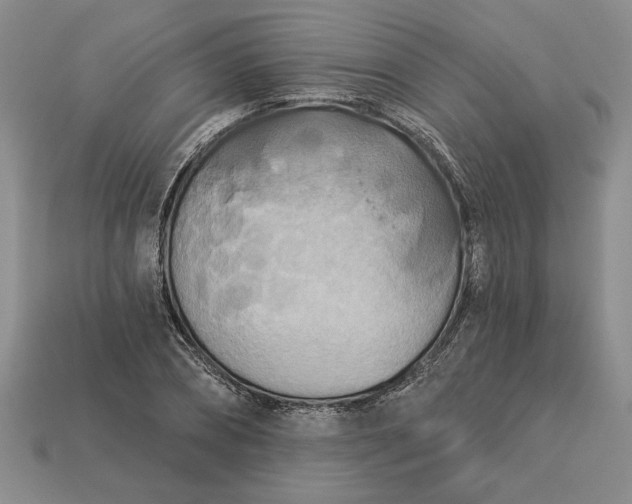 X0000113360882200909291028