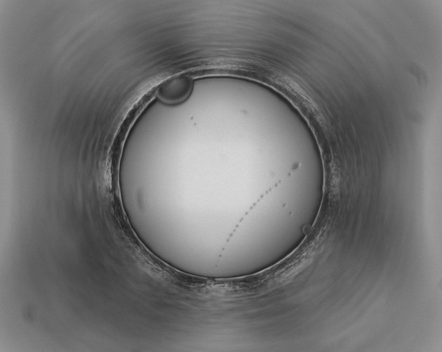 X0000113360883200909291028