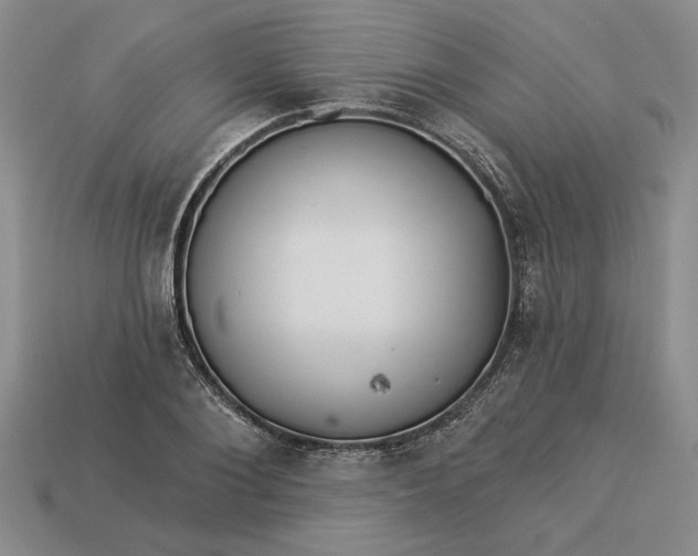 X0000113360884200909291028