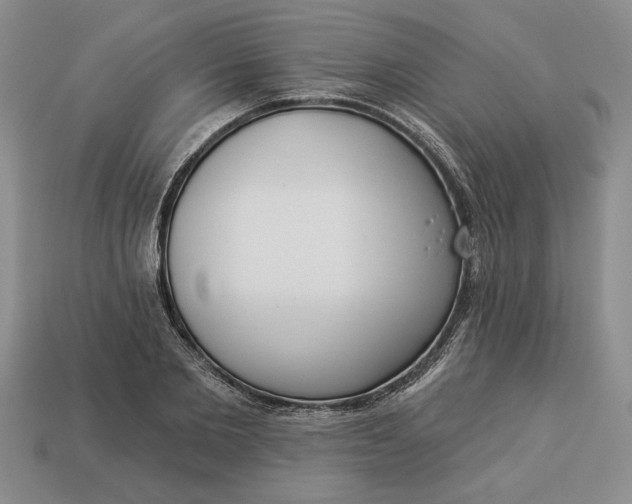 X0000113360885200909291028