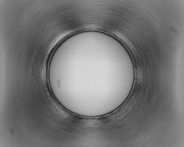 X0000113360886200909291028