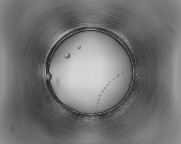 X0000113360887200909291028