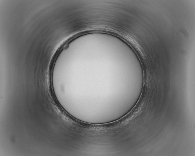 X0000113360888200909291028