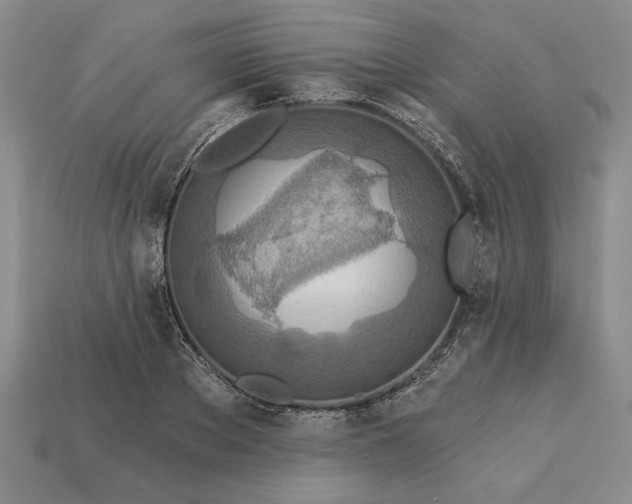 X0000113360889200909291028