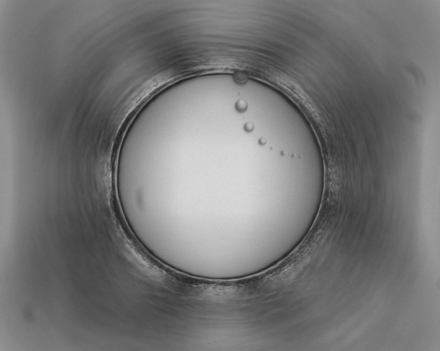 X0000113360890200909291028