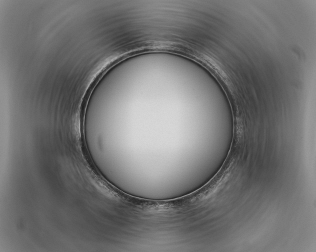 X0000113360891200909291028