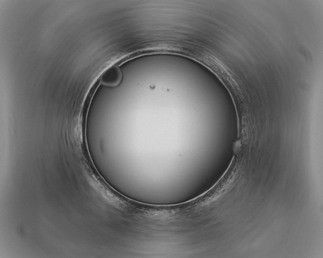 X0000113360892200909291028