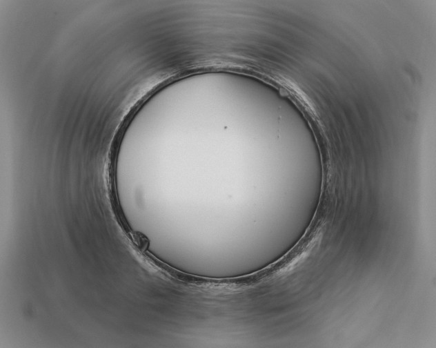 X0000113360893200909291028