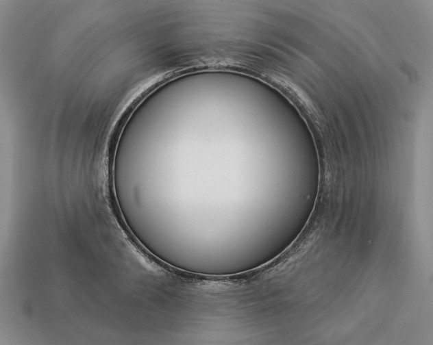 X0000113360894200909291028