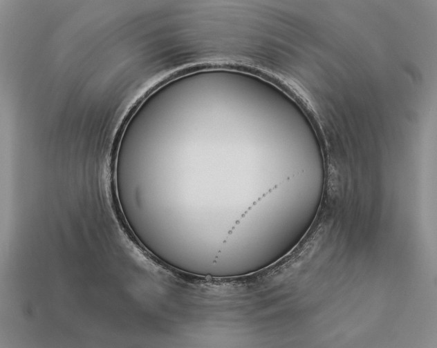 X0000113360895200909291028