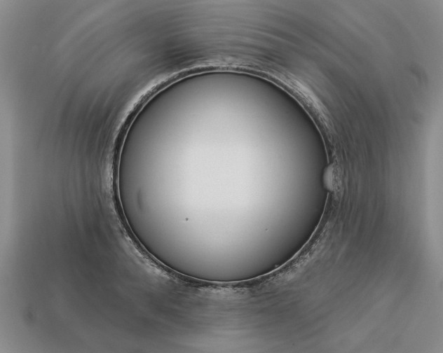 X0000113360896200909291028