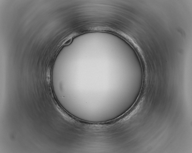 X0000113360897200909291028