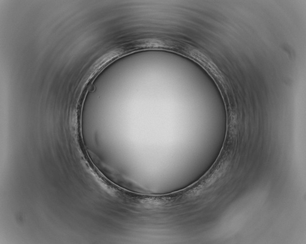 X0000113360898200909291028