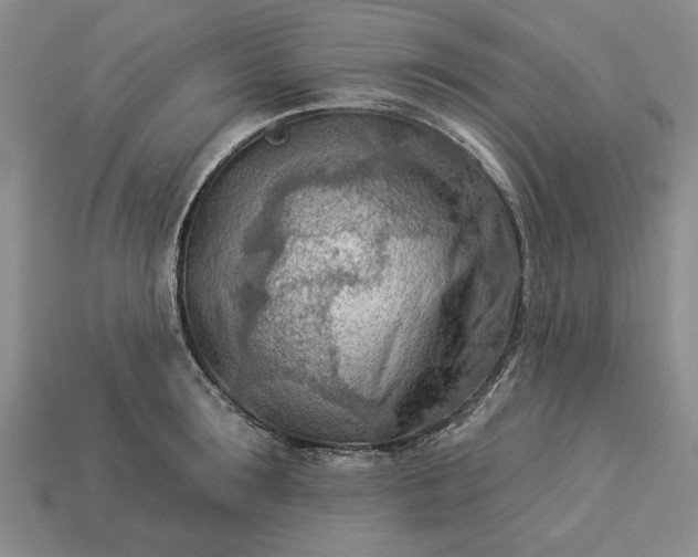 X0000113360899200909291028