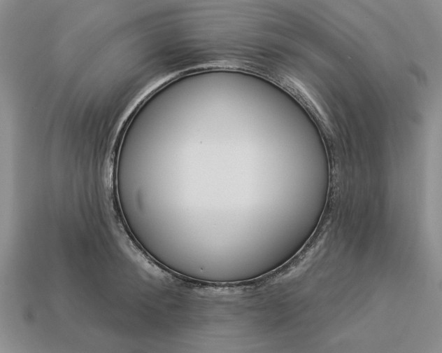 X0000113360900200909291028