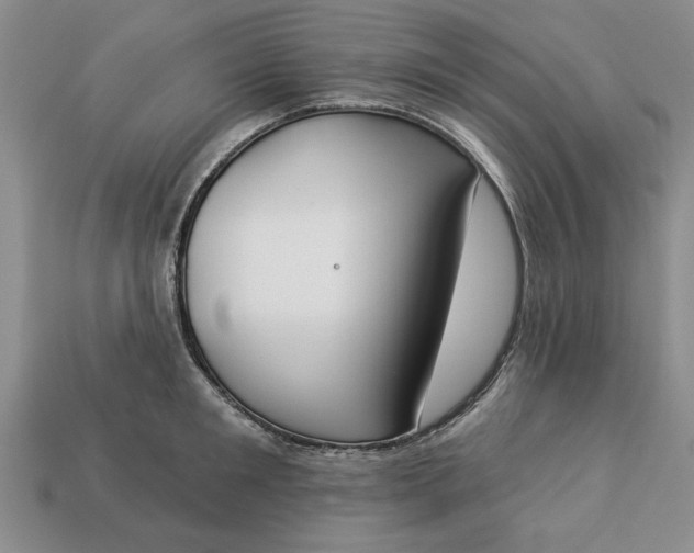 X0000113360901200909291028