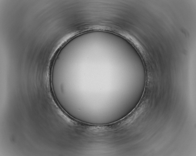 X0000113360902200909291028