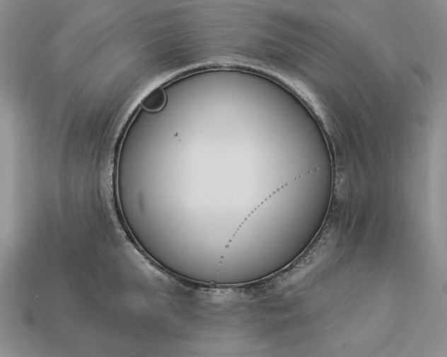 X0000113360903200909291028