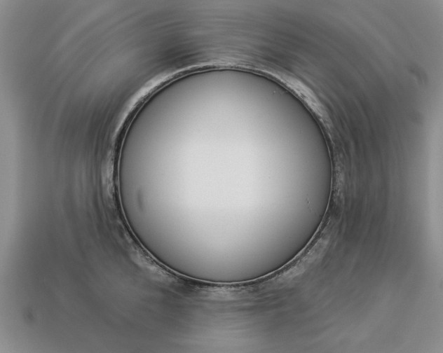 X0000113360904200909291028