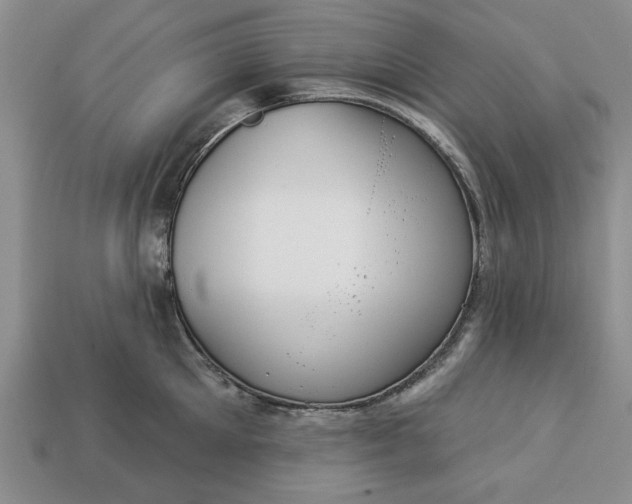 X0000113360905200909291028