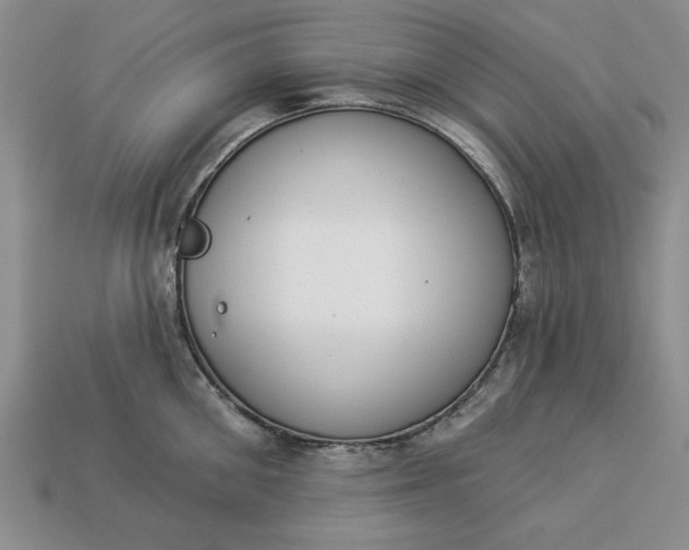 X0000113360906200909291028