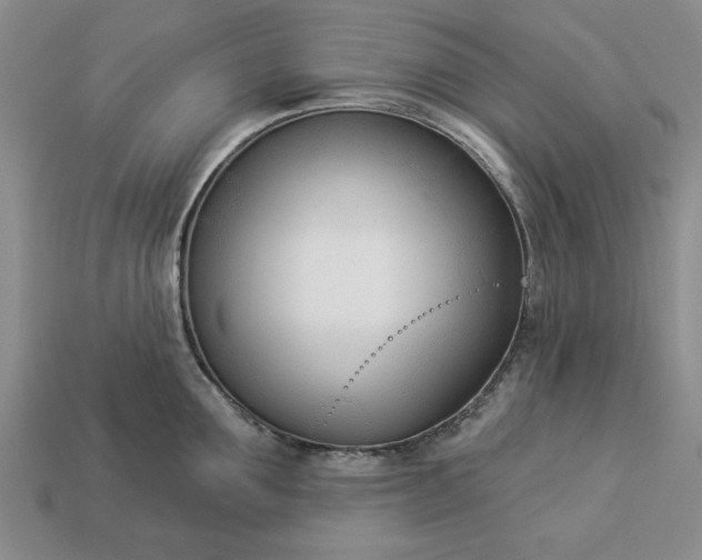 X0000113360907200909291027