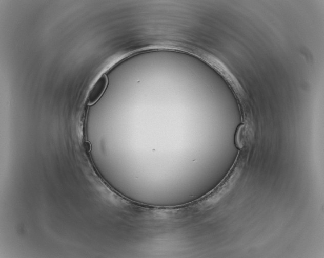 X0000113360908200909291027