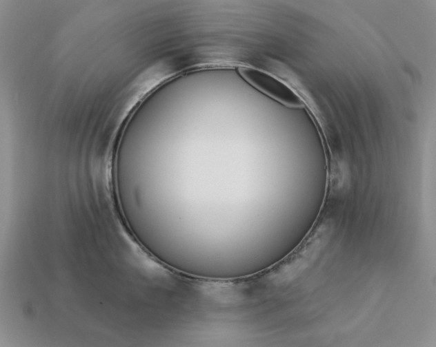 X0000113360909200909291027