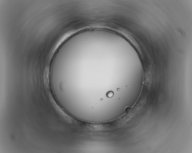 X0000113360911200909291027