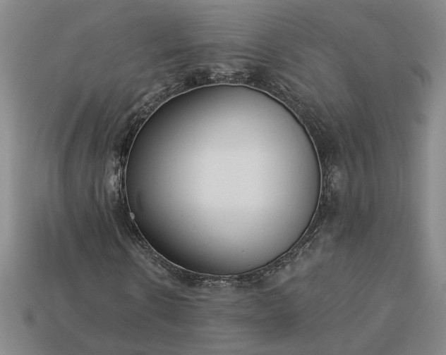 X0000113360914200909291027