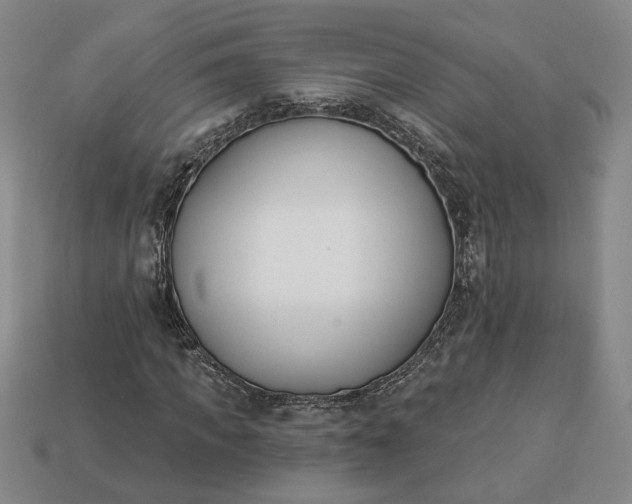 X0000113360917200909291027