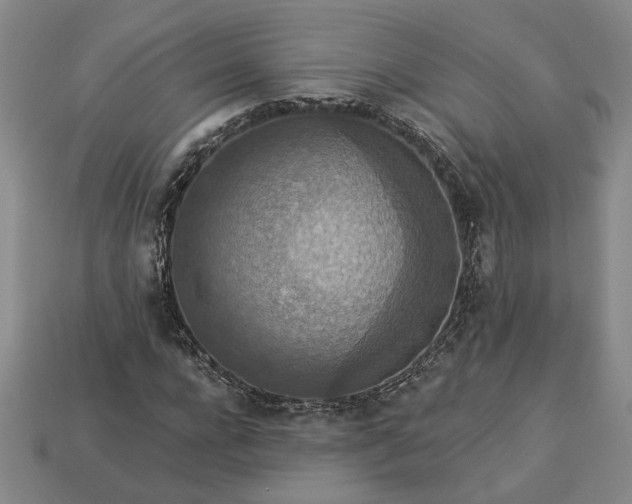 X0000113360920200909291027