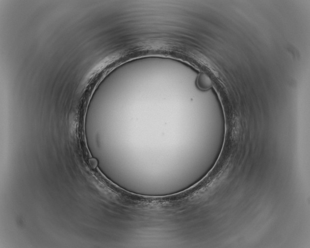 X0000113360922200909291027