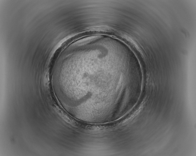 X0000113360923200909291027