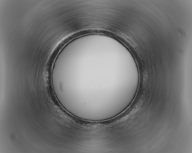 X0000113360926200909291027