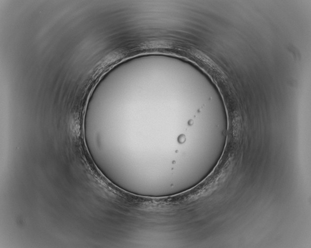 X0000113360929200909291027