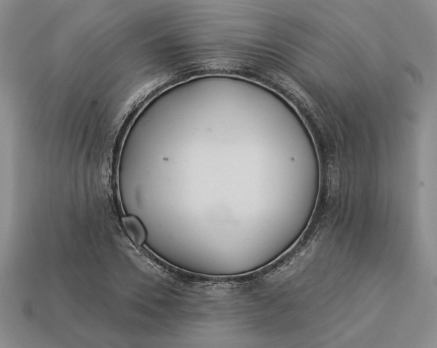 X0000113360930200909291027