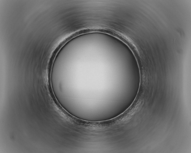 X0000113360935200909291027