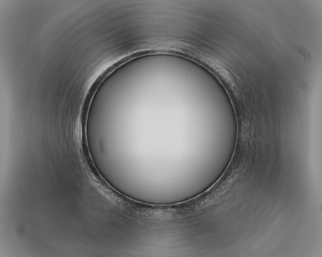 X0000113360936200909291027