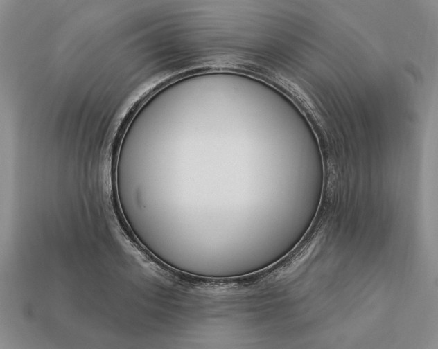 X0000113360939200909291027