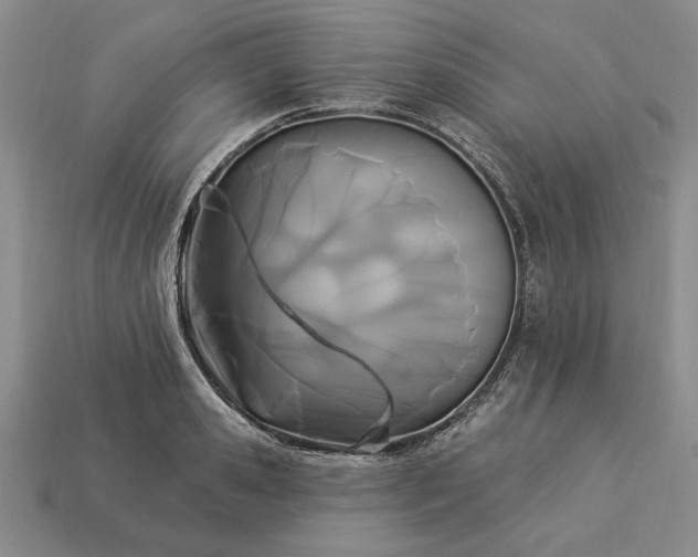 X0000113360941200909291027