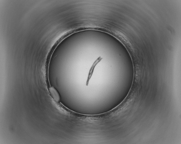 X0000113360942200909291027