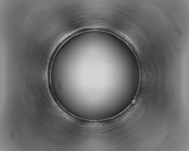 X0000113360943200909291027